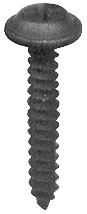 Phillips Washer Face Screw 962B