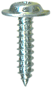 Phillips Washer Face Screw 5406B