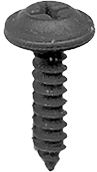 Phillips Washer Face Screw 900B