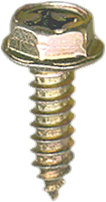 License Plate Screw 2830B