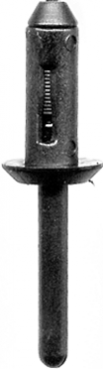 Plastic Rivet 6607A