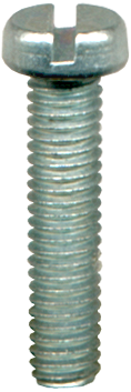 License Plate Screw 1160016B