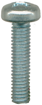 License Plate Screw 1260020B